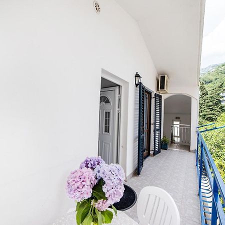 Apartments Vila Nikolic רפאלוביץ' מראה חיצוני תמונה