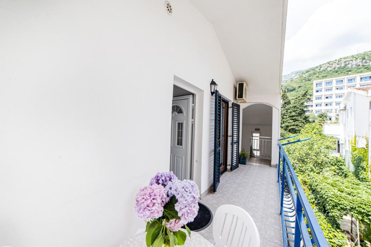 Apartments Vila Nikolic רפאלוביץ' מראה חיצוני תמונה